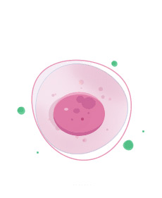 Biological Cell 